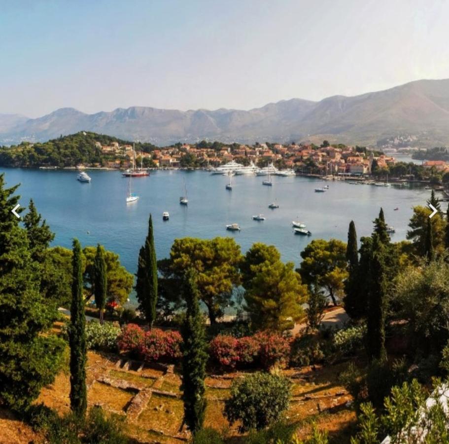 Bianchi Apartman Cavtat Kültér fotó