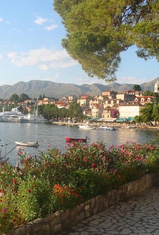 Bianchi Apartman Cavtat Kültér fotó