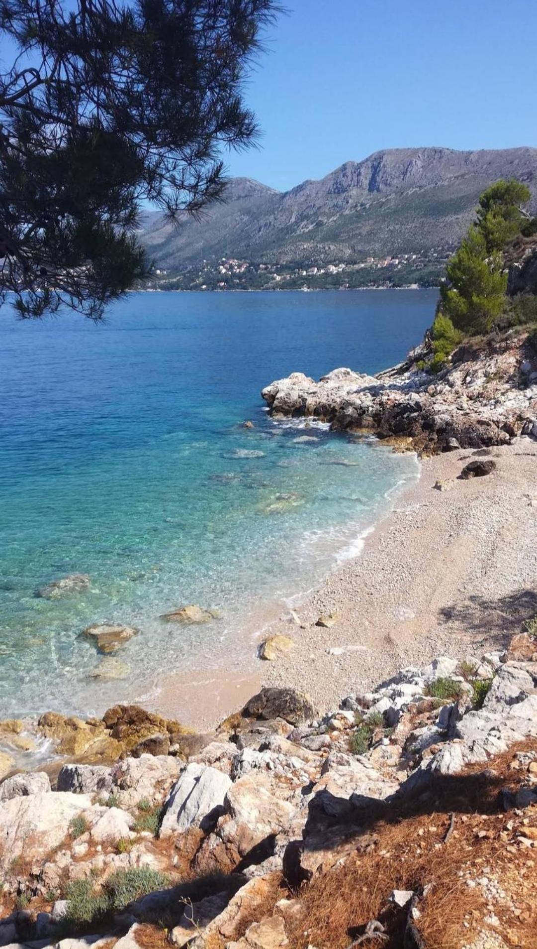 Bianchi Apartman Cavtat Szoba fotó